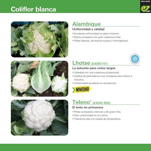 Folleto de Brassicas 2023