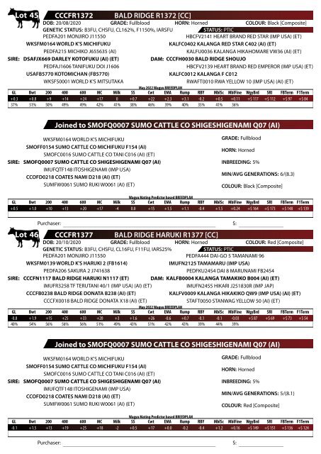 BALD RIDGE WAGYU 2022 Production Sale