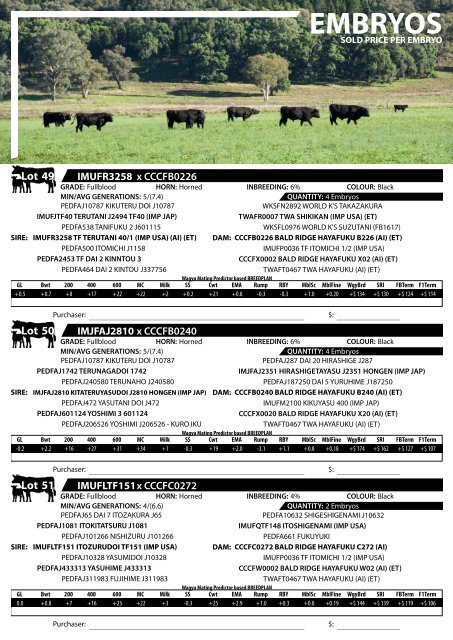 BALD RIDGE WAGYU 2022 Production Sale