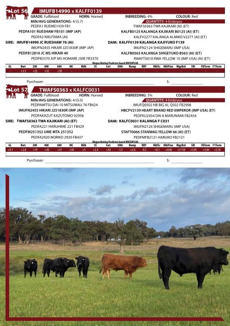 BALD RIDGE WAGYU 2022 Production Sale