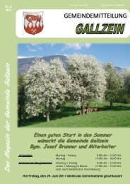 2011 - Gemeinde Gallzein - Land Tirol
