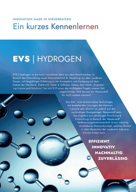 EVS | Hydrogen - Produktbroschüre DE