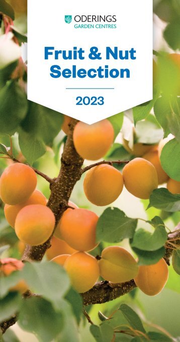 Fruit & Nut Selection 2023