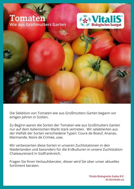 Tomaten wie aus Großmutters Garten 2022