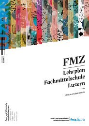 LEHRPLAN FMZ Fach- und Wirtschaftsmittelschulzentrum Luzern