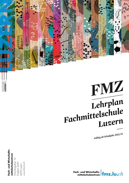 LEHRPLAN FMZ Fach- und Wirtschaftsmittelschulzentrum Luzern