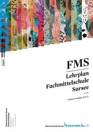 Lehrplan FMS Sursee, Kanton Luzern