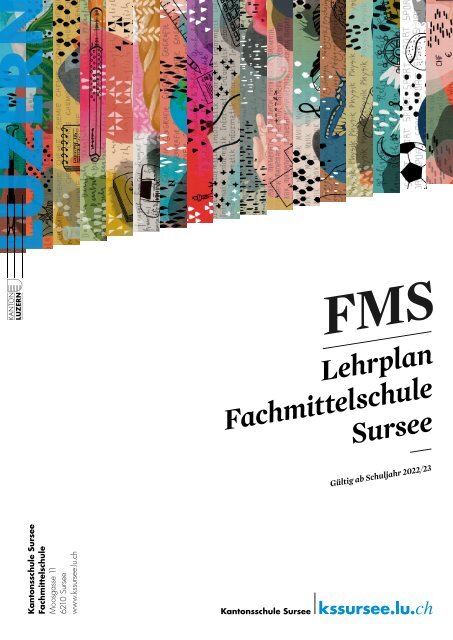 Lehrplan FMS Sursee, Kanton Luzern