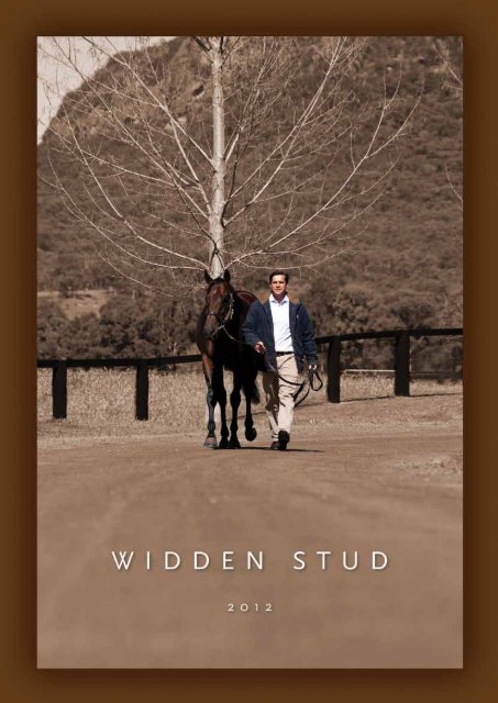 A Champion 2YO Sire. Proven source of Gr 1 winning ... - Widden Stud