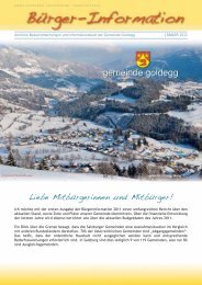 Samstag, 5. Februar 2011 um 20:00 Uhr im ... - Gemeinde Goldegg