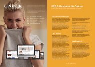 Case Study - Groener E-Commerce B2B by ICONPARC