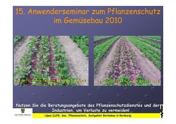 15. Anwenderseminar zum Pflanzenschutz im Gemüsebau 2010 - Isip