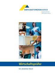 Das Wirtschaftsprüfer- Examen - Tristan Nguyen