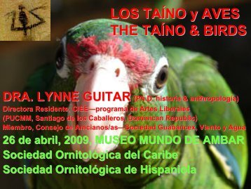 Los Taino y Aves/The Taino & Birds