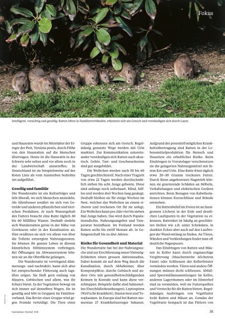 vsao Journal Nr. 3 - Juni 2022