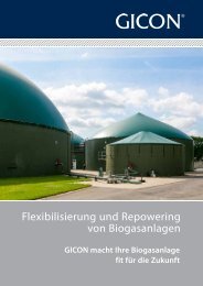 Prospekt - Flexibilisierung und Repowering von Biogasanlagen 