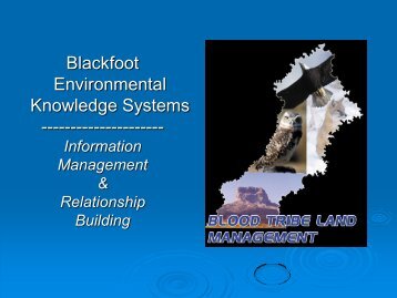 Blackfoot Environmental Knowledge Systems - First Nations (Alberta ...