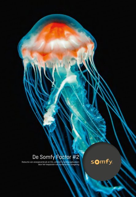 De Somfy Factor Deel #2 NL