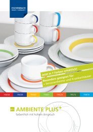 Ambiente plus