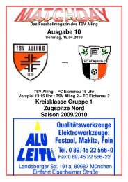 Matchday Ausgabe 10 vom 18.4.2010 - TSV Alling eV