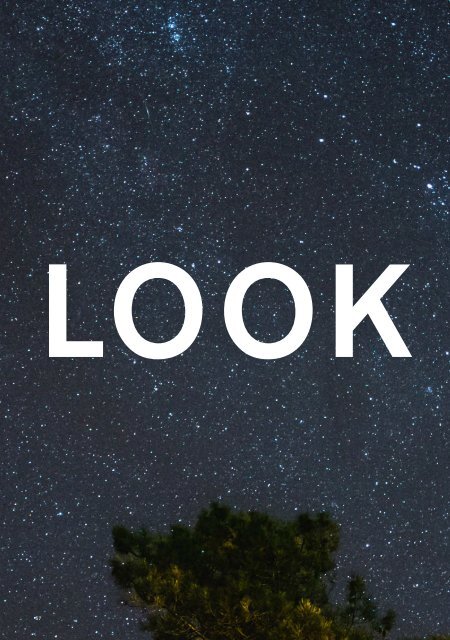 THE ART AND SCIENCE OF LOOKING UP REPORT