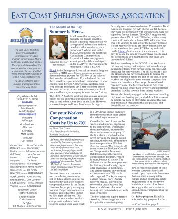 ECSGA newsletter June 2022 for Yumpu