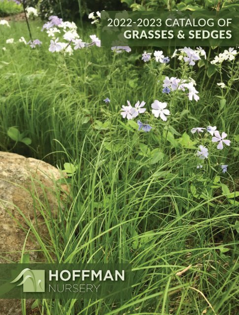 2022-2023 Hoffman Nursery Catalog of Grasses & Sedges