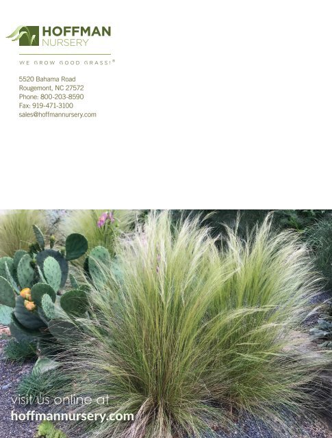 2022-2023 Hoffman Nursery Catalog of Grasses & Sedges