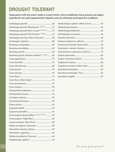 2022-2023 Hoffman Nursery Catalog of Grasses & Sedges