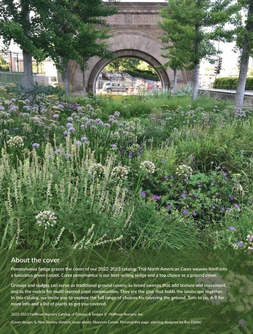 View Hoffman Nursery Catalog of Grasses