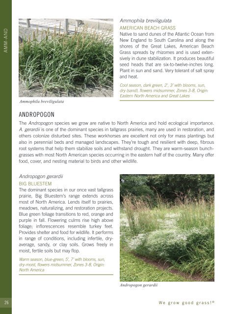 2022-2023 Hoffman Nursery Catalog of Grasses & Sedges