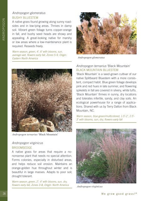 2022-2023 Hoffman Nursery Catalog of Grasses & Sedges