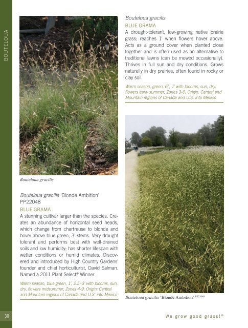 2022-2023 Hoffman Nursery Catalog of Grasses & Sedges