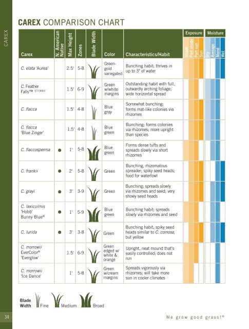 2022-2023 Hoffman Nursery Catalog of Grasses & Sedges