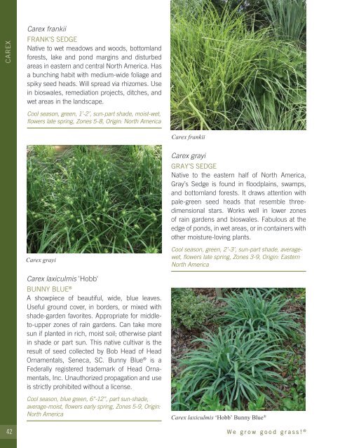 2022-2023 Hoffman Nursery Catalog of Grasses & Sedges