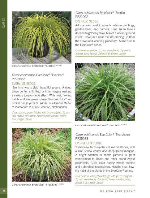 2022-2023 Hoffman Nursery Catalog of Grasses & Sedges