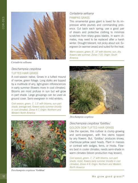 2022-2023 Hoffman Nursery Catalog of Grasses & Sedges