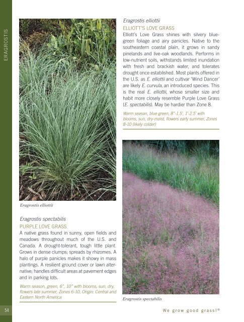 2022-2023 Hoffman Nursery Catalog of Grasses & Sedges