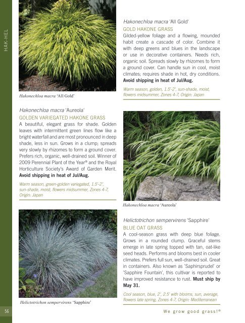 2022-2023 Hoffman Nursery Catalog of Grasses & Sedges