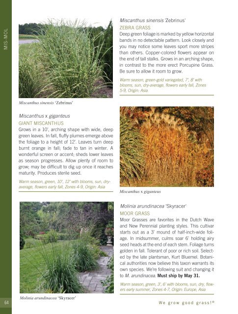 2022-2023 Hoffman Nursery Catalog of Grasses & Sedges