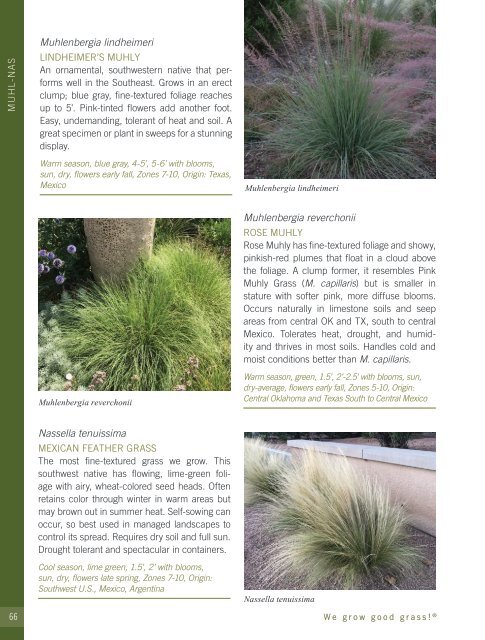 2022-2023 Hoffman Nursery Catalog of Grasses & Sedges