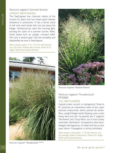 2022-2023 Hoffman Nursery Catalog of Grasses & Sedges