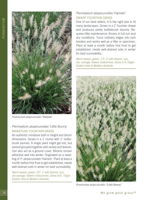 2022-2023 Hoffman Nursery Catalog of Grasses & Sedges