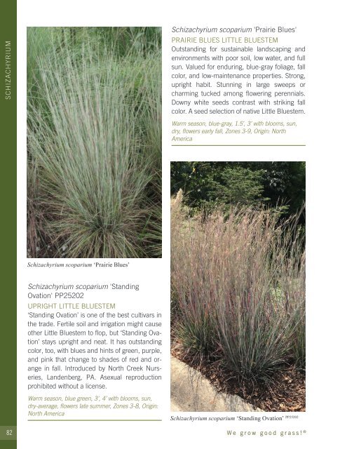 2022-2023 Hoffman Nursery Catalog of Grasses & Sedges