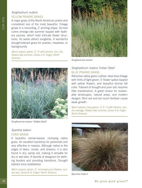 2022-2023 Hoffman Nursery Catalog of Grasses & Sedges