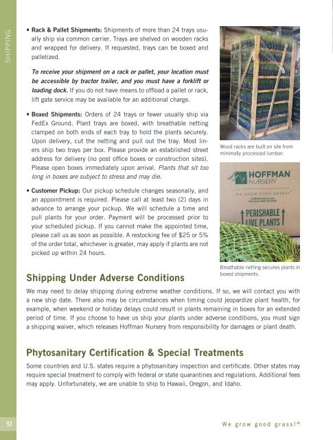 2022-2023 Hoffman Nursery Catalog of Grasses & Sedges