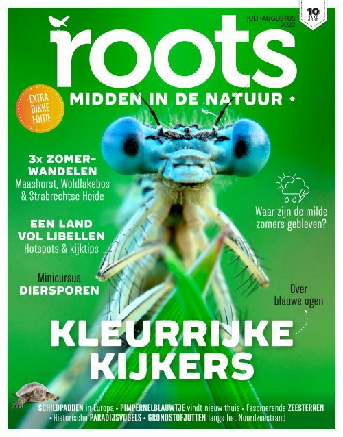 Roots editie 7/8 - 2022 - Inkijkexemplaar