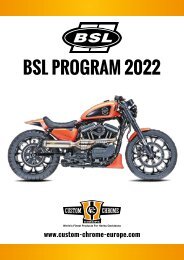 BSL PROGRAM 2022