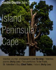 Island Peninsula Cape Trailer