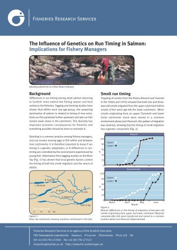 The Influence of Genetics on Run Timing in Salmon: Implications for ...